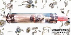 微生物研究深度为10,000米